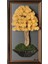 Bonsai Tablaeu -3-2A - Mdf Plaka Üzerinde Çerçeveli 3 Boyutlu Yapay Ağaç Tablosu 33X60 cm 1