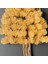 Bonsai Tablaeu -3-2A - Mdf Plaka Üzerinde Çerçeveli 3 Boyutlu Yapay Ağaç Tablosu 33X60 cm 4