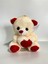 18 cm Peluş Kalpli Ayıcık 1