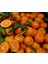 Ortaca El Ele Kadın Koop. Mandarin Klemantin 2