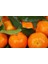 Ortaca El Ele Kadın Koop. Mandarin Klemantin 3