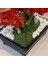 Atlas Bonsai-3-1 Masaüstü Kullanıma Uygun Doğal Ağaç Gövdeli Yapay Bonsai Ağacı - 50X60 cm 3