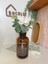 Çiçekli Amber Dekoratif Cam Vazo Scandinavian-Pinterest Vazo 4