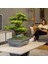 Atlas Bonsai-7 Masaüstü Kullanıma Uygun Doğal Ağaç Gövdeli Yapay Bonsai Ağacı - 50X60 cm 2