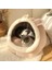 Sarı Güneş Çiçeği Stili M Beden Sevimli Kedi Yatağı Sıcak Pet Sepeti Şirin Kediler Için Konforlu Kedi Evi Çadır Çok Yumuşak Küçük Köpek Matı Çanta Yıkanabilir Mağara Kedi Yatakları (Yurt Dışından) 4