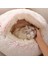 Kahverengi Tarzı 50CM Süper Yumuşak Kedi Yatağı Evi Sıcak Kış Kedi Yavrusu Yatak Yuvası Uzun Püsküllü Yavru Yuvarlak Koltuk Küçük Köpekler Kedi Kulübesi Kaymaz (Yurt Dışından) 2