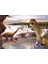 260 Parça Dinozorlar Çocuk Puzzle 1