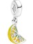 Limon Sallantılı Charm 1
