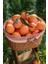 8 kg Köyceğiz Portakalı 2 kg Limon 2