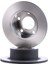 Delphı BG4033T-ARKA Fren Disk Tk. Crafter 2.0tdı 2.5 Tdı 2E0615601A 1