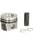 239690-PISTON+SEGMAN 79.51MM Std Caddy Iv 1.6 Tdı 03L107065AE 1