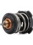 TX25287-TERMOSTAT 87°C AUDI SEAT SKODA VW BEETLE-CADDY-CC-GOLF-JETTA-PASSAT-POLO 1