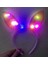 Kenarları Dantelli Pembe Pullu Payetli LED Işıklı Tavşan Kulak Taç 23X19 cm 2