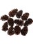 10 Adet Büyük Dekoratif Koniler 8-10CM Vazo Kase Dolgu Dekoratif Zanaat (Yurt Dışından) 4