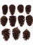 10 Adet Büyük Dekoratif Koniler 8-10CM Vazo Kase Dolgu Dekoratif Zanaat (Yurt Dışından) 5