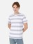 Regular Fit Yuvarlak Yaka Erkek Gri Kısa Kol Tişört Cl1067726 1