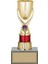 Futbol Kupası Ödül Kupası Tören Kupası 24 cm GN152 1