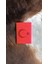 Dikişli Bayrak Baskı Araç Ruhsat Kılıfı Kabı Ruhsatlık Ruhsat Koruyucu 1