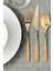 Tıllagd Gold 24 Parça Çatal Kaşık Bıçak Seti 2