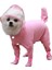 Bacaklarlı Köpek Yağmurluğu, Küçük Köpek Evcil Hayvan Yağmurluğu, Pembe (Yurt Dışından) 2