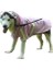 Su Geçirmez Köpek Yağmurluğu Orta ve Büyük Köpek Evcil Hayvan Yağmurluğu Pembe (Yurt Dışından) 2