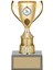 Futbol Kupası Ödül Kupası Tören Kupası 24 cm GN170 1
