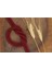 Kordon 8 mm - 50 mt Bordo 1