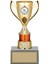 Futbol Kupası Ödül Kupası Tören Kupası 24 cm GN172 1