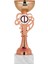 Futbol Kupası Ödül Kupası Tören Kupası 20 cm Bronz Renk ECO002 1