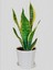 Iç Mekan Çiçek Seti Barış Çiçeği- Şamador(Areka)-Sarı Kılıç ÇIÇEĞI(20-30CM) 4
