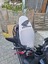 Pcx Uyumlu Nardo Gri Koltuk Kılıfı Kalite 2