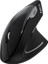 MS550GT Wireless Kablosuz Optik Dikey Mouse 2