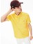 Erkek Regular Fit Paris Polo 2