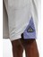 Atr Hoopwear Short Gri Erkek Şort 5