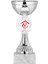 Kişiye Özel Futbol Kupası Ödül Kupası Tören Kupası 19 cm ECO-015 1