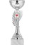 Kişiye Özel Futbol Kupası Ödül Kupası Tören Kupası 22 cm ECO-023 1