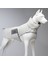Dogs Air Puff Pearl Köpek Montu Krem Beden 1 1