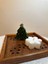 Pico Mum Box 2