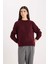 Regular Fit Bisiklet Yaka Basic Düz Triko Kazak D0035AX24WN 5