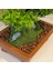 Atlas Bonsai-1 Masaüstü Kullanıma Uygun Doğal Ağaç Gövdeli Yapay Bonsai Ağacı - 50X60 cm 3