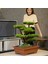 Atlas Bonsai-1 Masaüstü Kullanıma Uygun Doğal Ağaç Gövdeli Yapay Bonsai Ağacı - 50X60 cm 4