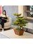 Flora Bonsai-5 Masaüstü Kullanıma Uygun Doğal Ağaç Gövdeli Yapay Bonsai Ağacı - 40X50 cm 4