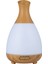 FD33 200ML Vazo Şekli Aromaterapi Hava Temizleme Cihazı Nemlendirici (Yurt Dışından) 1