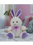 Neon Renkli Tavşan Peluş 30 cm 62232 1