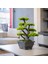 Flora Bonsai-6 Masaüstü Kullanıma Uygun Doğal Ağaç Gövdeli Yapay Bonsai Ağacı - 40X50 cm 1