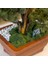 Flora Bonsai-4 Masaüstü Kullanıma Uygun Doğal Ağaç Gövdeli Yapay Bonsai Ağacı - 40X50 cm 4