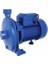 Cpm 200/2 2 Hp 220V Tek Kademeli Santrifüj Pompa 1