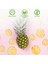 Kurutulmuş Ananas Cipsi, Kurutulmuş Ananas 2