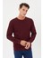 Tony Sports Sweatshirt- PIN-1042 2
