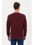 Tony Sports Sweatshirt- PIN-1042 5